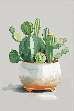 可爱仙人掌植物插画
