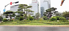 历下区园林绿化服务中心多措并举开展喜迎国庆绿化美化工作