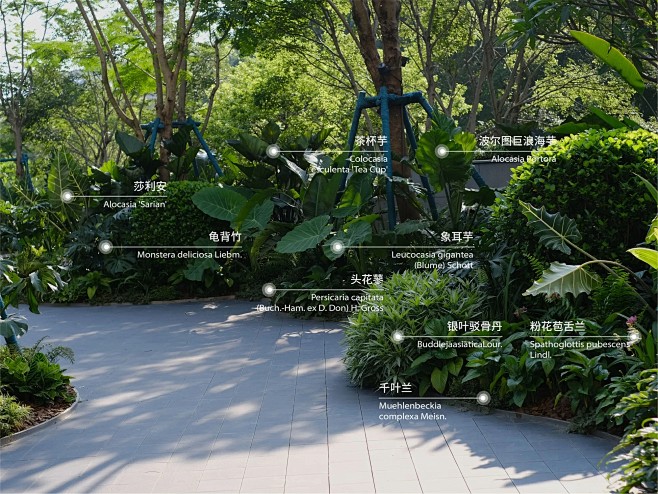中海荔府，广亩景观