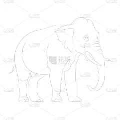 象,插画,线条,哺乳纲,现代,长牙,动物,品牌名称,绘制,剪影