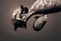 Gregory Colbert : Gregory Colbert's Ashes and Snow is an ongoing project comprised of photographic artworks, a one-hour film and two short film “haikus,” and a novel in letters all presented in a purpose-built temporary structure called the Nomadic Museum