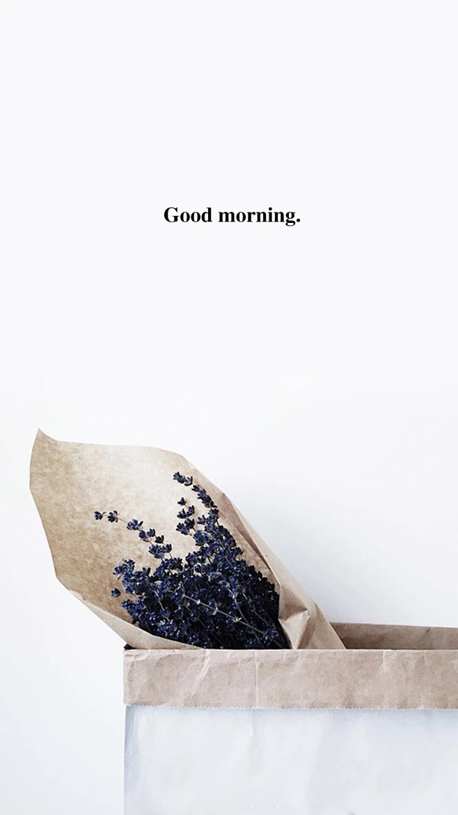 Good morning-花瓣网