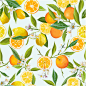 手绘水果香蕉西瓜柠檬AI矢量印刷印花图案 墙纸设计 (20)