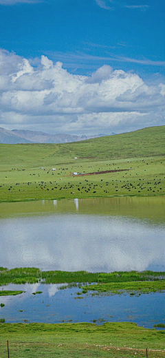 hjhvvx采集到背景