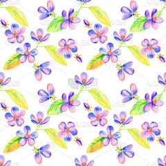 用彩色铅笔画苹果和樱花。贺卡模板。婚礼卡片
