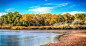 Autumn Trees Along the Rio Grande River by Cole Eaton on 500px