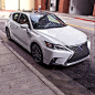 Lexus Dealers : Photo