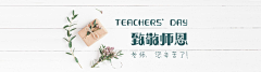 四月的风信子采集到宣传册