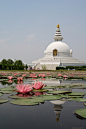 World Peace Pagoda at the birthplace of Buddha, Lumbini, Nepal