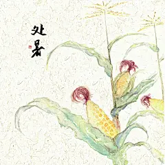 插画二十四节气果蔬系列之处暑玉米 水彩手绘中国风 - sheji菠菜12345 - 原创作品 - 视觉中国(shijueME)