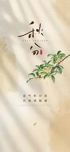 秋分节气海报创意二十四节气宣传海报模板_10_香菜设计素材君_来自小红书网页版
