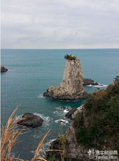 halirong采集到春节假期旅行——济州