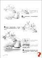 《铅笔素描从入门到精通——植物篇》新书上架 飞乐鸟-淘宝网