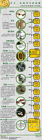 bitcoin-blackchain-infographic.jpg (843×2798)