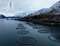 挪威，适合鱼类生长的完美环境 - 小红书