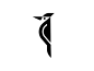 啄木鸟LOGO-字体传奇网（ZITICQ）