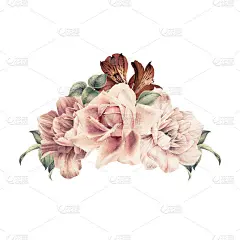 花束，可作为贺卡、婚礼请柬、生日等节假日和夏季背景。水彩插图