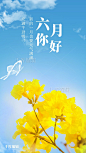 你好6月花蓝色简约手机海报图片-在线PS设计素材下载-千库编辑