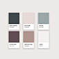 118 Best Branding · Colour palettes images in 2019 ｜ Palette, Colour pallete, Co