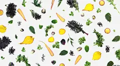 蔬菜背景壁纸免抠素材_新图网 https://ixintu.com 生菜 胡萝卜 菜叶 蔬菜背景