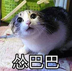 怂猫表情表情包_怂猫表情表情包下载_怂猫表情动态gif表情图-4399聊天表情包大全