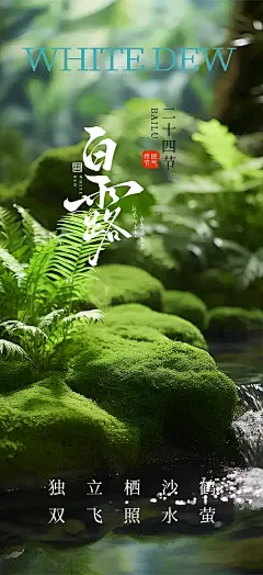白露海报（已上图巨人）大气传统白露二十四节气海报 (39)