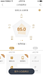 京东白条  小白信用分