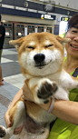 bff7300fjw1f7wwhzq7gdj20ku112dmg.jpg
