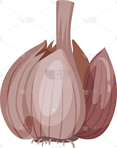 丁香,自然,开着的,大蒜,动物头,农业,蔬菜,清新,香料,烹调
