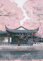 来源： @RedMatcha