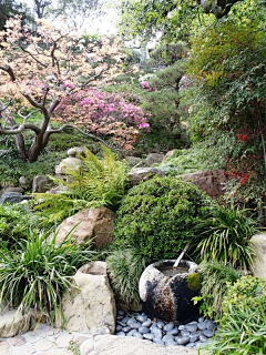 lawoniu采集到A花园/元素/植物配置