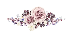 手绘花 蝴蝶 叶子 花环 钻石 花瓣 png素材
