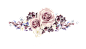 手绘花 蝴蝶 叶子 花环 钻石 花瓣 png素材