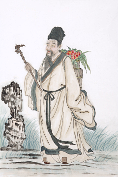 烟火菜采集到中医