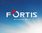 Fortis科技有限公司logo设计