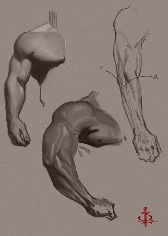 Some Arm Studies by ...