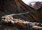 The Shepherds of the Tusheti Mountains - The Atlantic