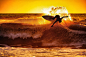 冲浪General 2000x1333 surfing waves sunset