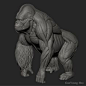 ArtStation - Gorilla Anatomy & 3D PRINT object, kunyoung heo