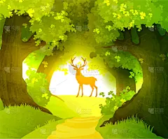 鹿,森林,魔法,前面,安静,野生动物,壁纸,公园,哺乳纲,站