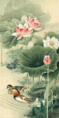 鸳鸯戏水图集(18张)，好漂亮的国画图片