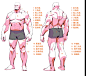 【肌肉结构画法解析】三张图帮你理解男性骨点和肌肉结构分布