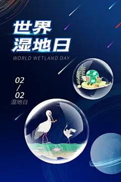 保护湿地世界湿地日海报设计