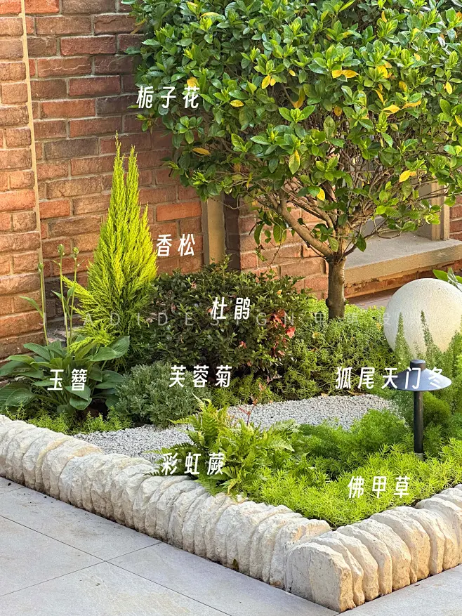 现代自然风格庭院植物搭配分享⭐。丰富又特别的自然风植物配置 - 抖音-花瓣网