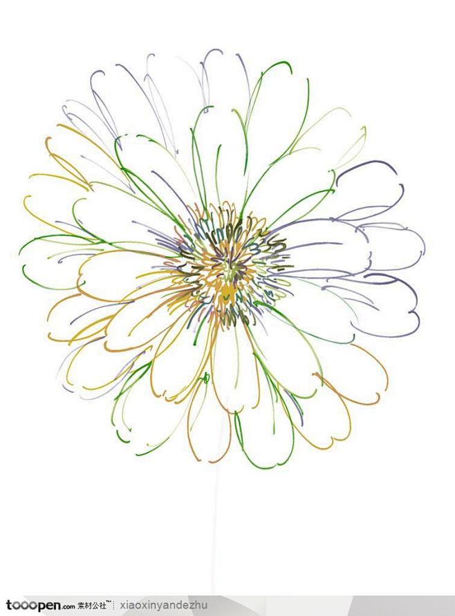 手绘水彩花朵花纹-盛开的菊花图片素材下载...