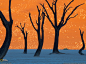 纳米比亚的纳米布-诺克卢福国家公园，橙色的晨光和暗淡的沙丘让骆驼荆棘树呈现出一种别样的视觉效果。