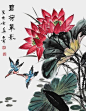 来自分享