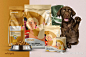 【Solid Gold狗粮品品牌包装设计】
看完这些宠物食品的包装设计，我都心动想养宠物了~