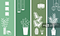 Green illustration of lights over plants