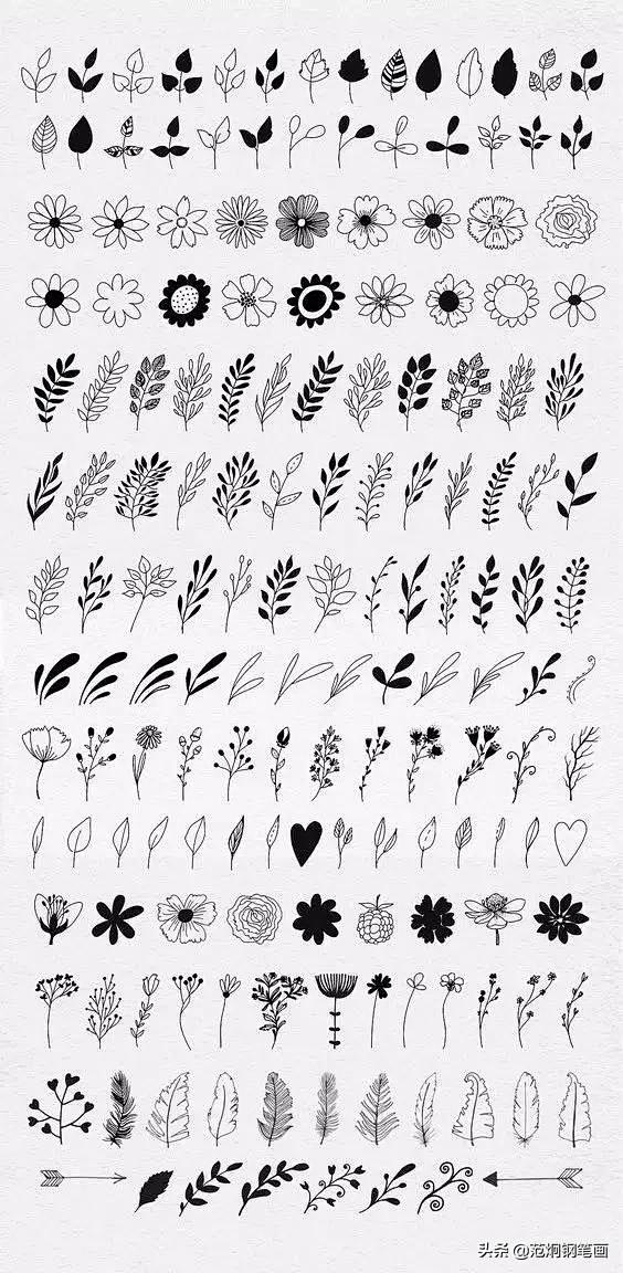 各种植物线稿植物手绘百科全书系列，造型多...